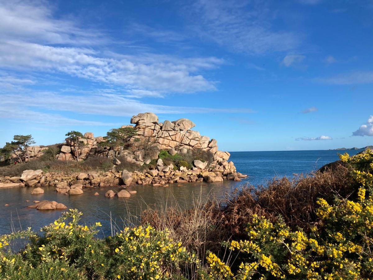 Les Hortensias à 50 M De La De Trestraou * Perros-Guirec